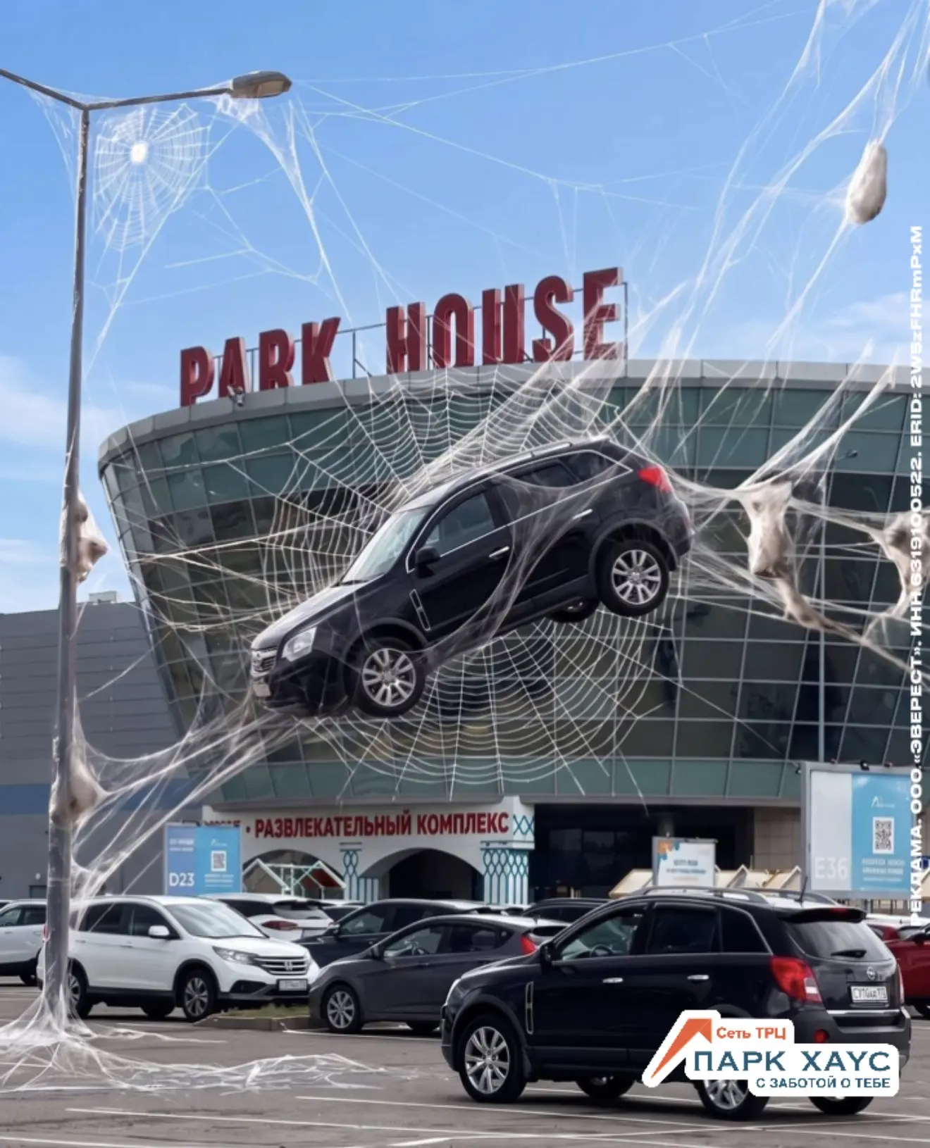 🕷️ Что это в Казани?