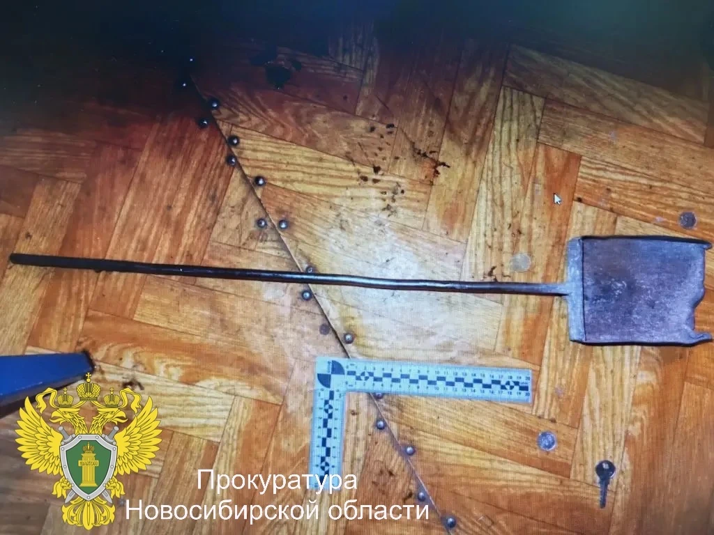 ⚡️В Новосибирской области перед судом предстанет местный житель за причинение тяжкого вреда здоровью