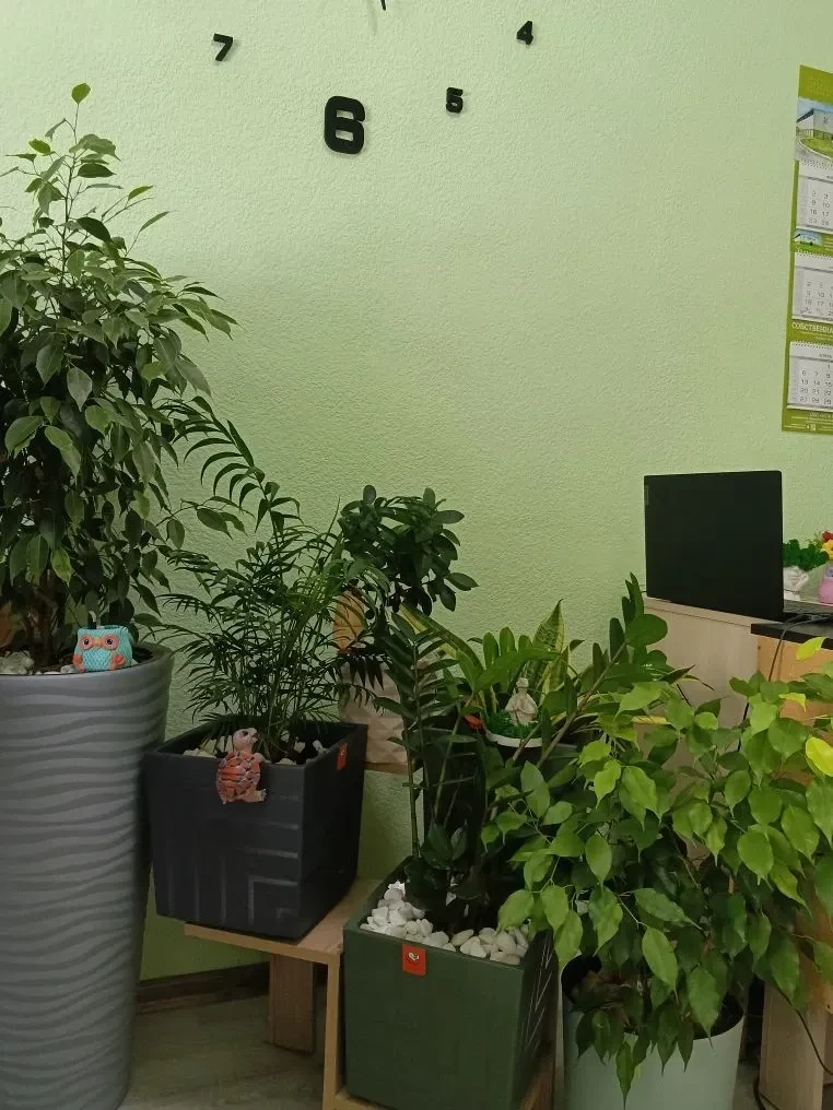 №17 Алена Болотова ведущий экономист МТФ Родная земля и выращенная своими руками красота!