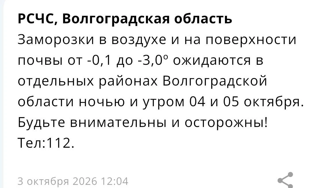 🥶 Заморозки задержатся ещё на несколько дней в Волгоградской области.