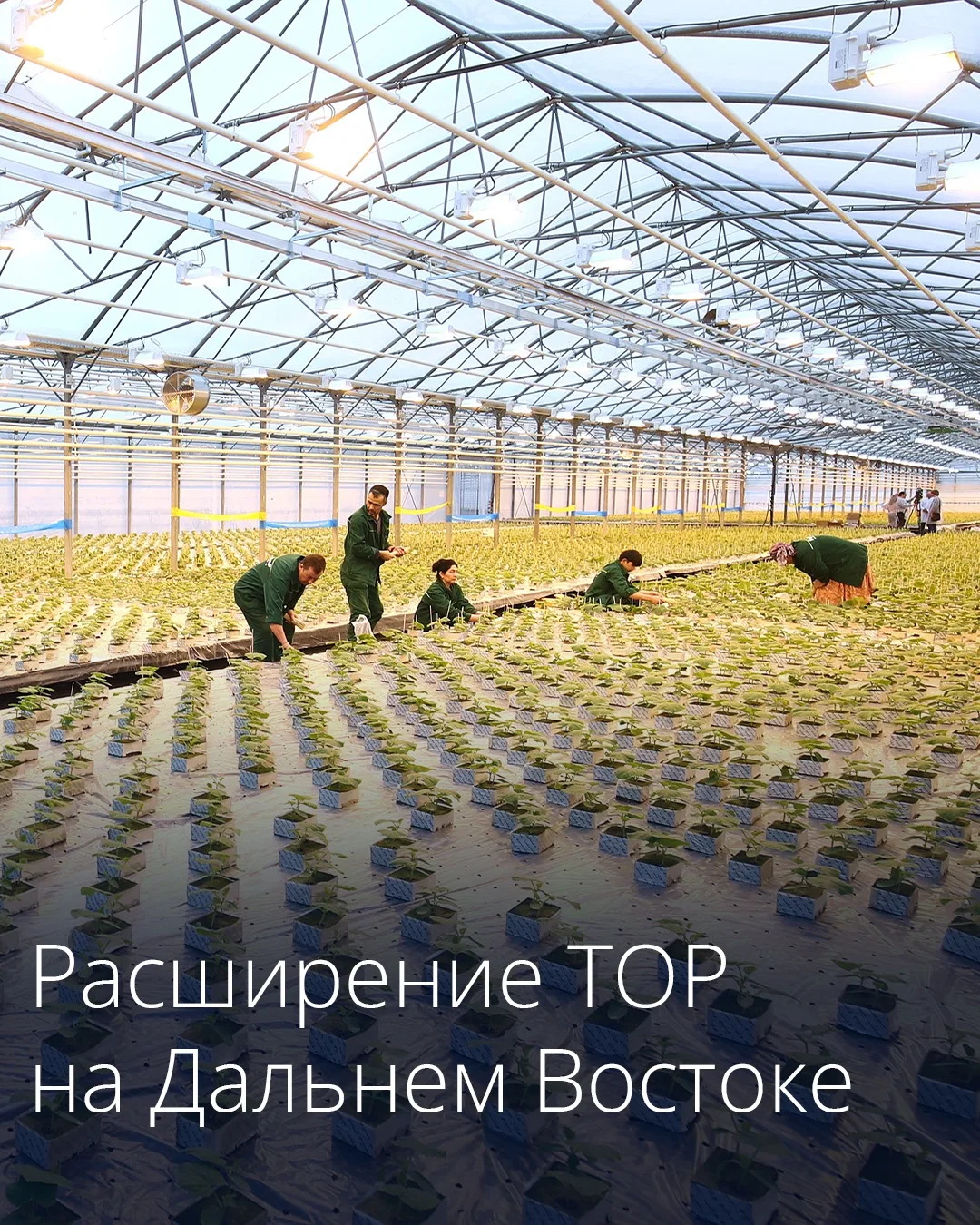 Расширение границ территорий опережающего развития на Дальнем Востоке