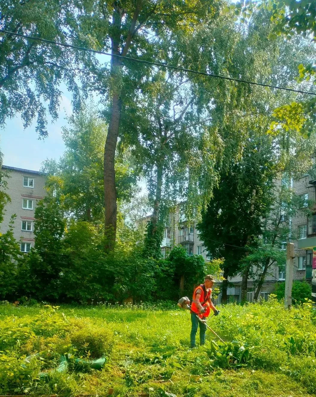 🌿 Продолжаем сезонные покосы!