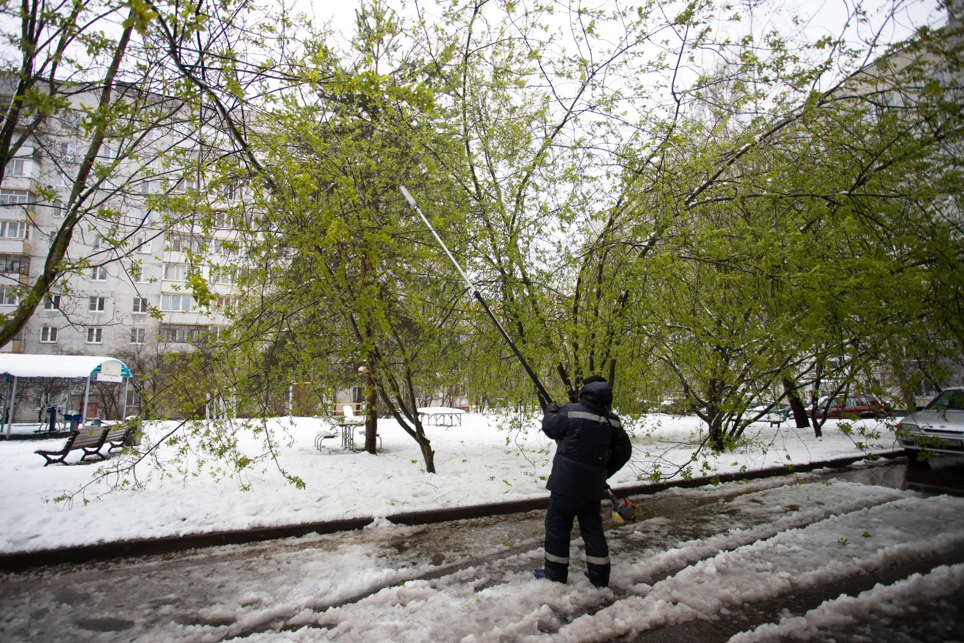 В связи с аномальными погодными условиями в городском округе Фрязино развёрнут оператив...