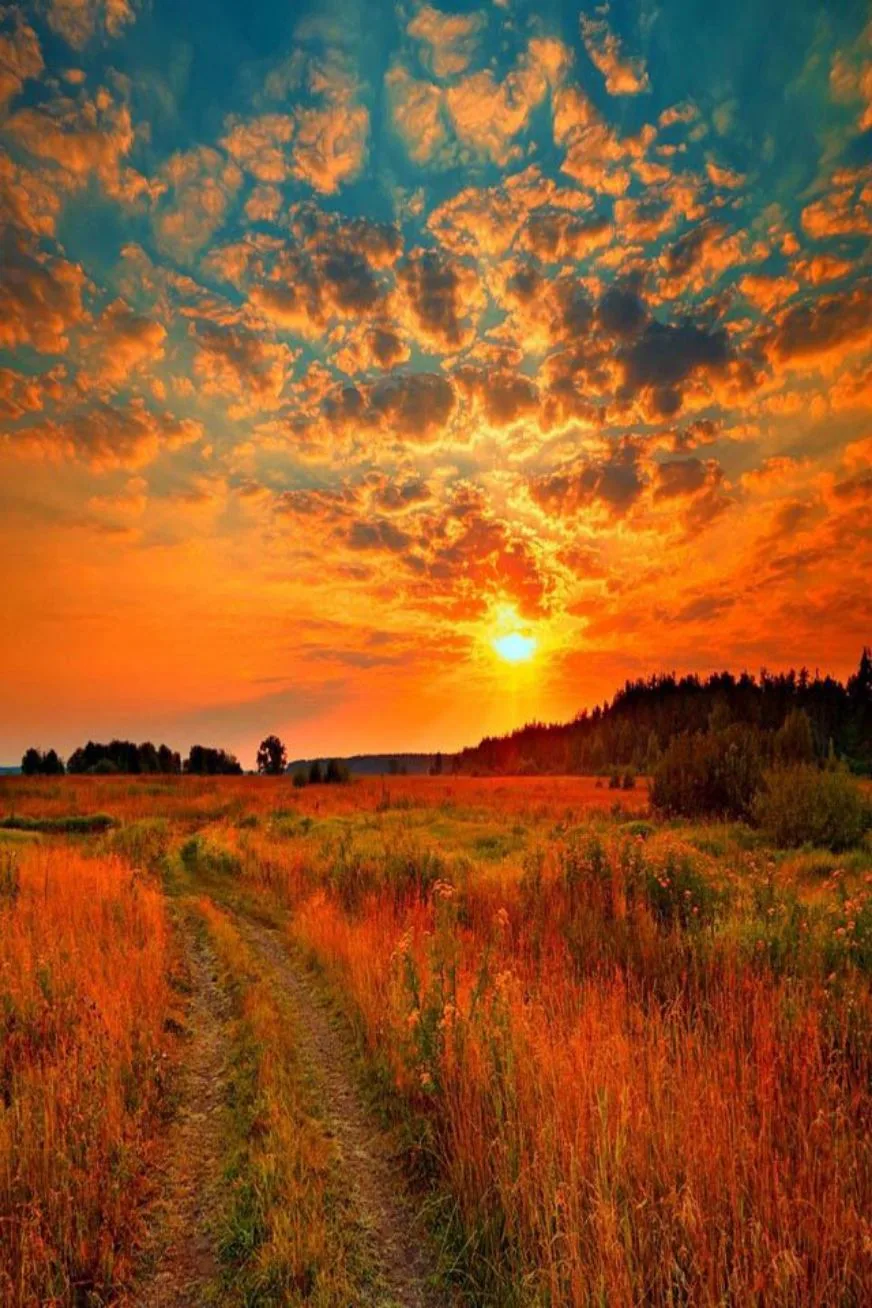 🍁Пятница🍁