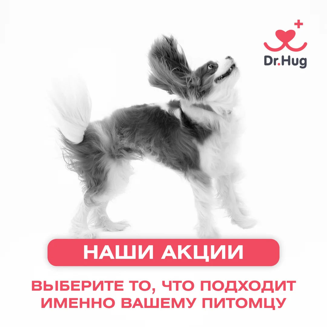 🔥 Большие скидки и выгодные предложения от сети клиник «Dr. Hug»