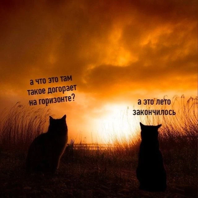 Ну как вы? Готовы к школе?