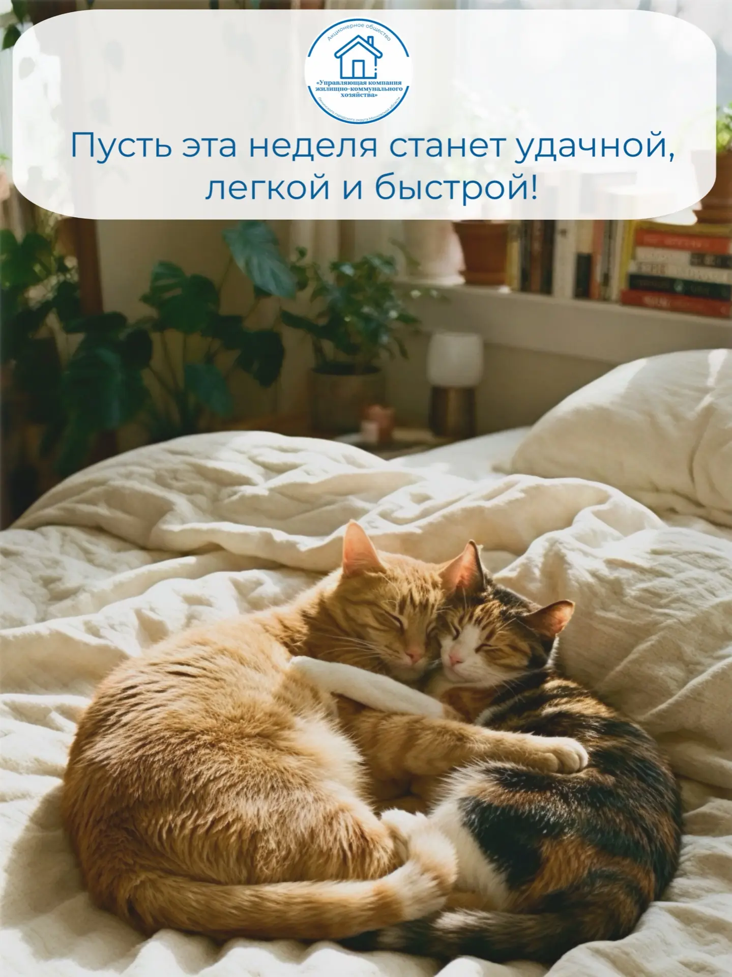 ▶️ Telegram | Вконтакте | MAX