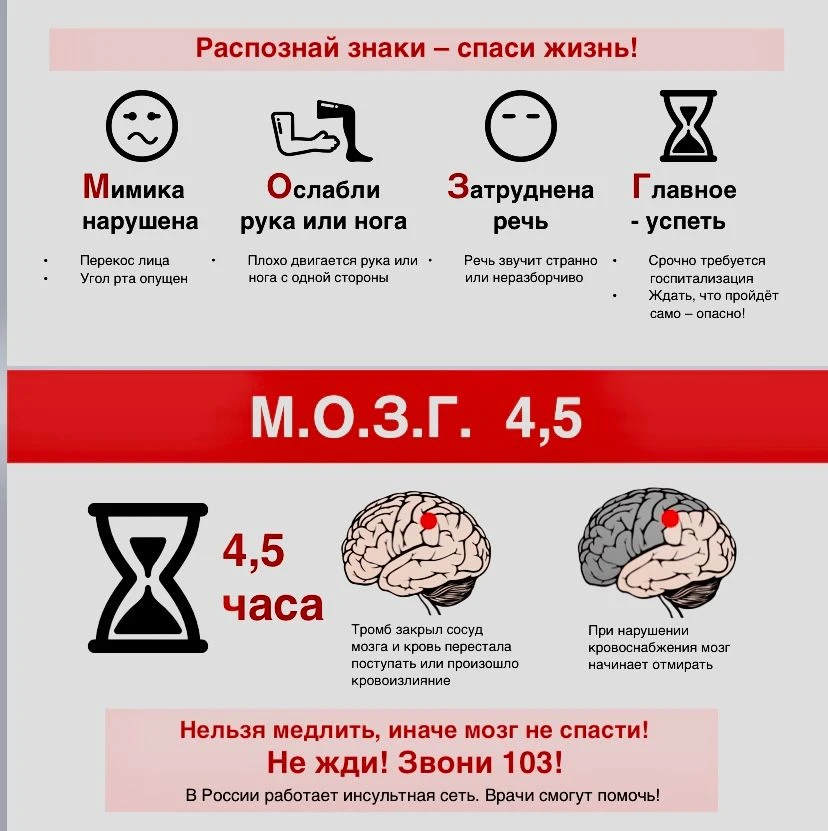 Инсульт – это острое нарушение кровоснабжения мозга, при котором нервные клетки начинаю...