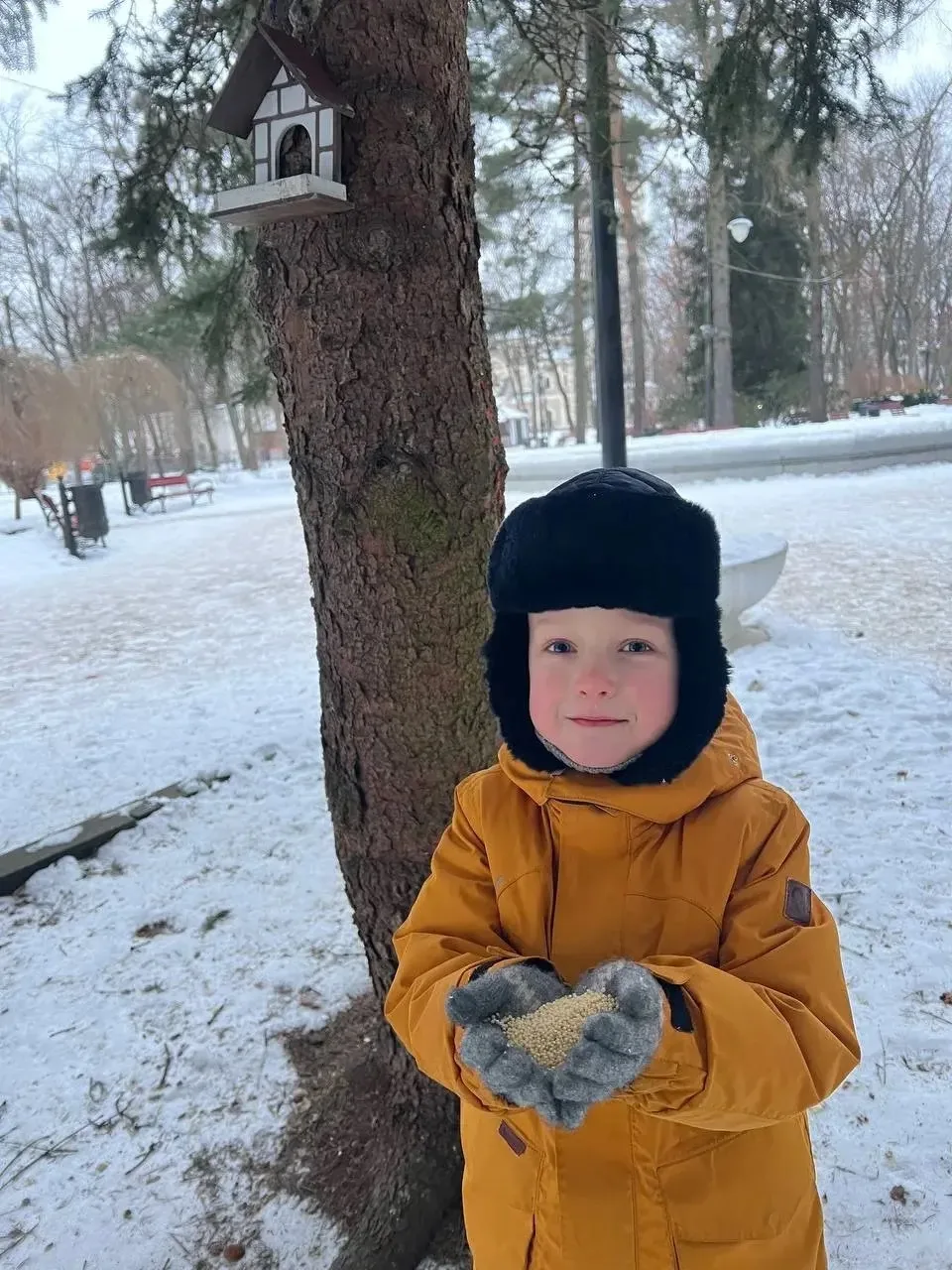 Дорогие соратники по песочницам и горкам! ❄️

Собрались на зимнюю прогулку? Поздравляем, вы — смелые