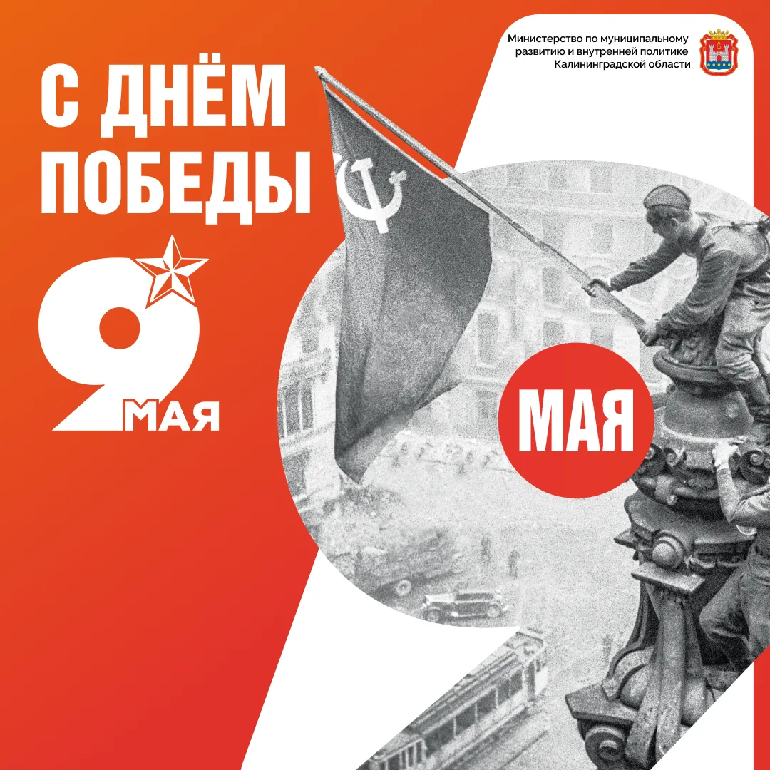 Сегодня мы отмечаем 81-ю годовщину Победы в Великой Отечественной войне!