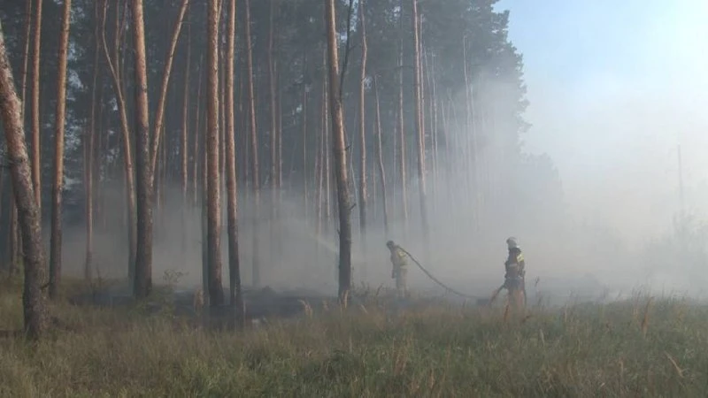 🔥 В Воронежской области наступил пик пожароопасного сезона.

Август в региональном минлесхозе назыв