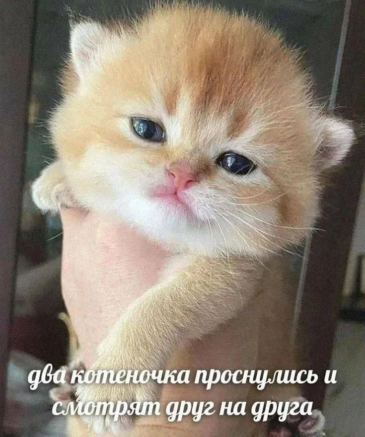 Вы?