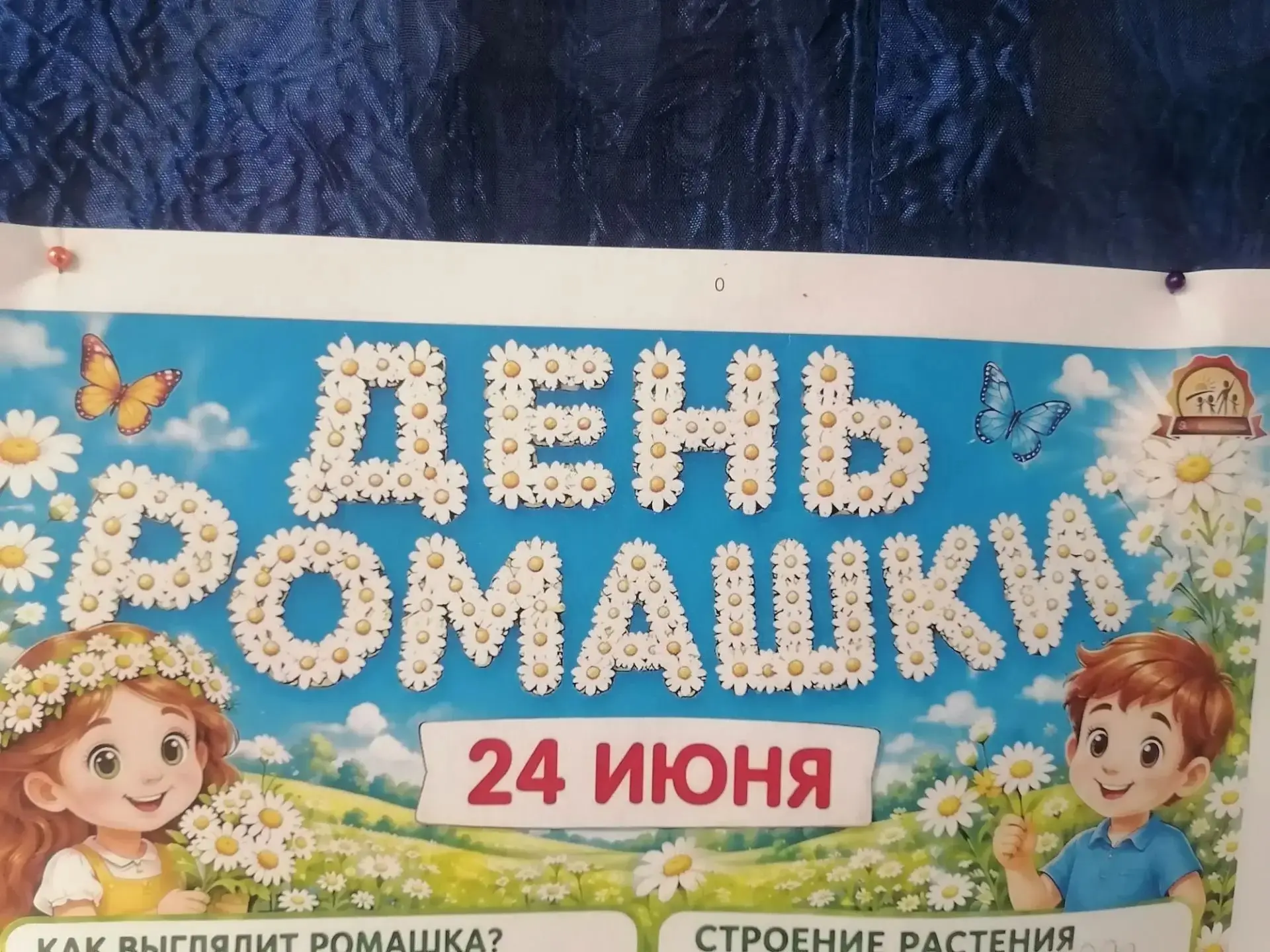 Ромашка - один из символов России. Это всеми любимый полевой цветок. Воспитанники д/с «Колокольчик» 