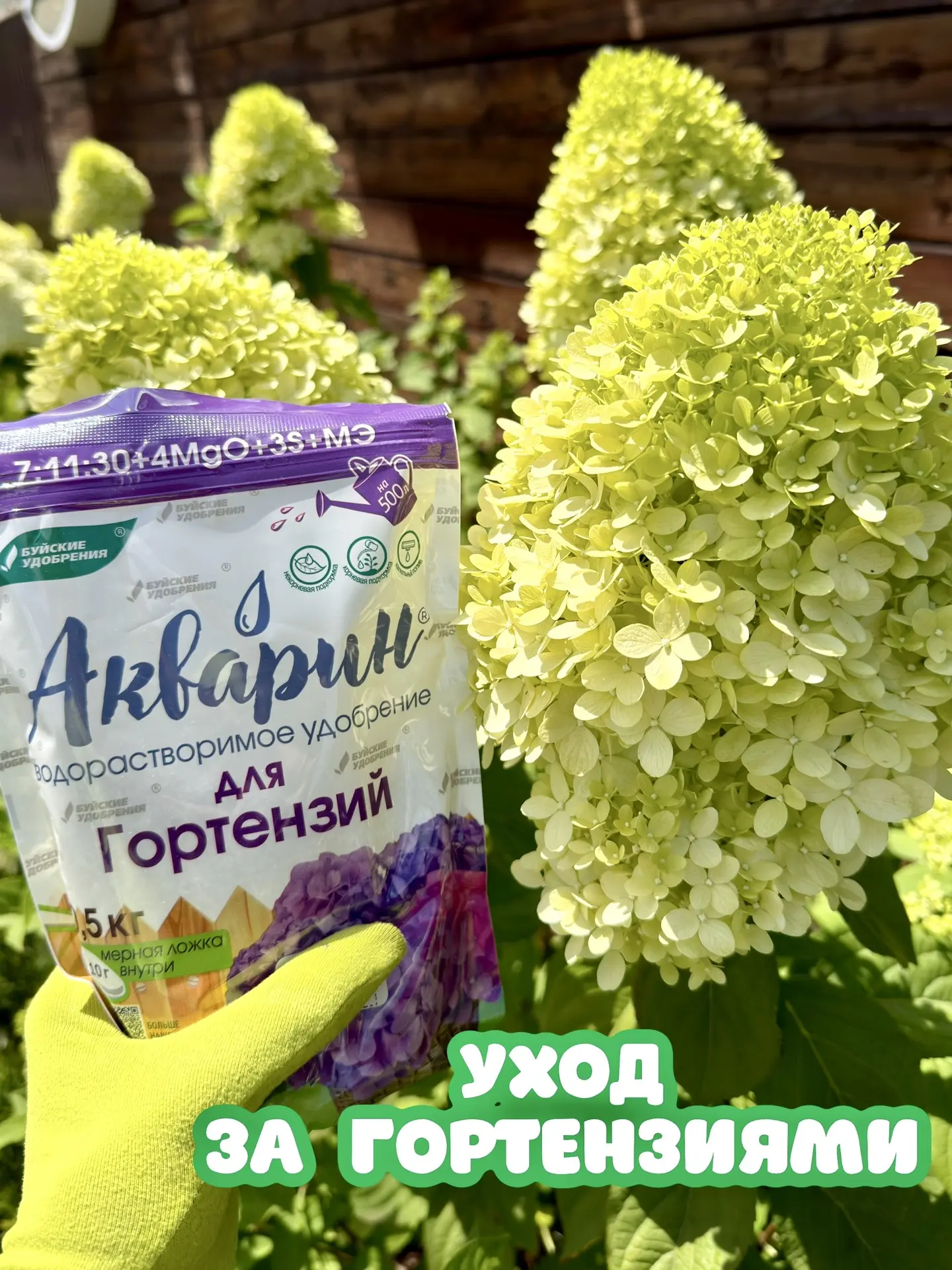Агротехника выращивания гортензий в Ростовской области!
⠀
🌱М͟е͟с͟т͟о͟ п͟о͟с͟а͟д͟к͟и͟:͟
Безветренное