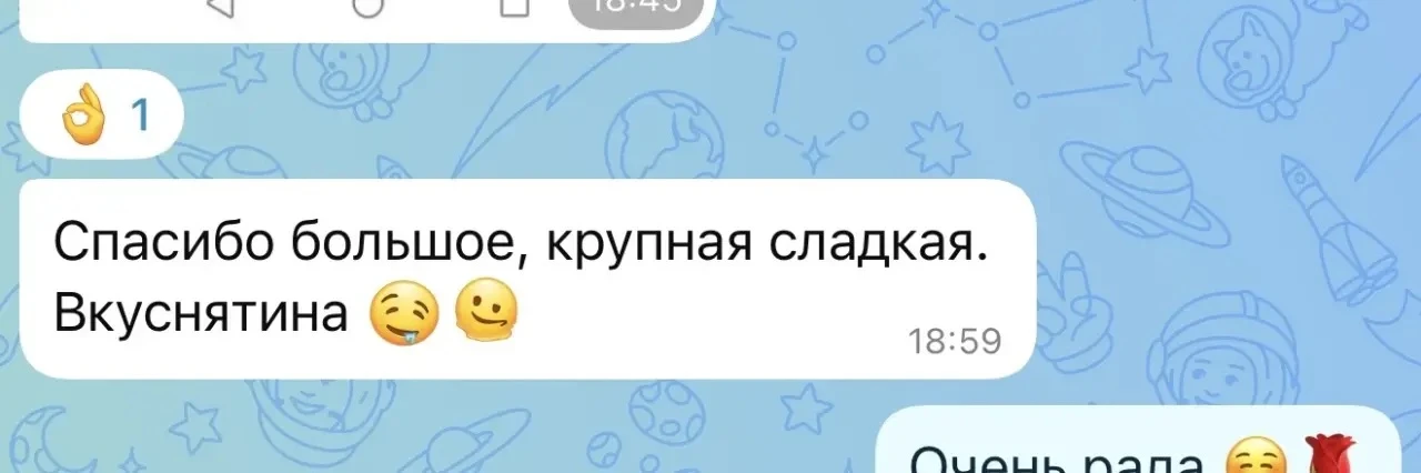 Дорогие друзья!  Команда «Первый Ягодный» поздравляет вас с этим тёплым весенним праздником 🌷   Пуст