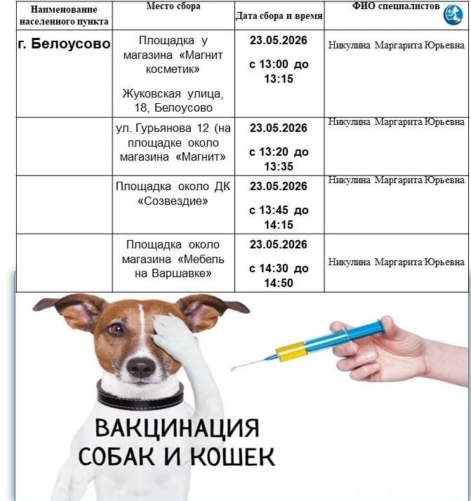 23  мая 2026 года  в ГП г. Белоусово