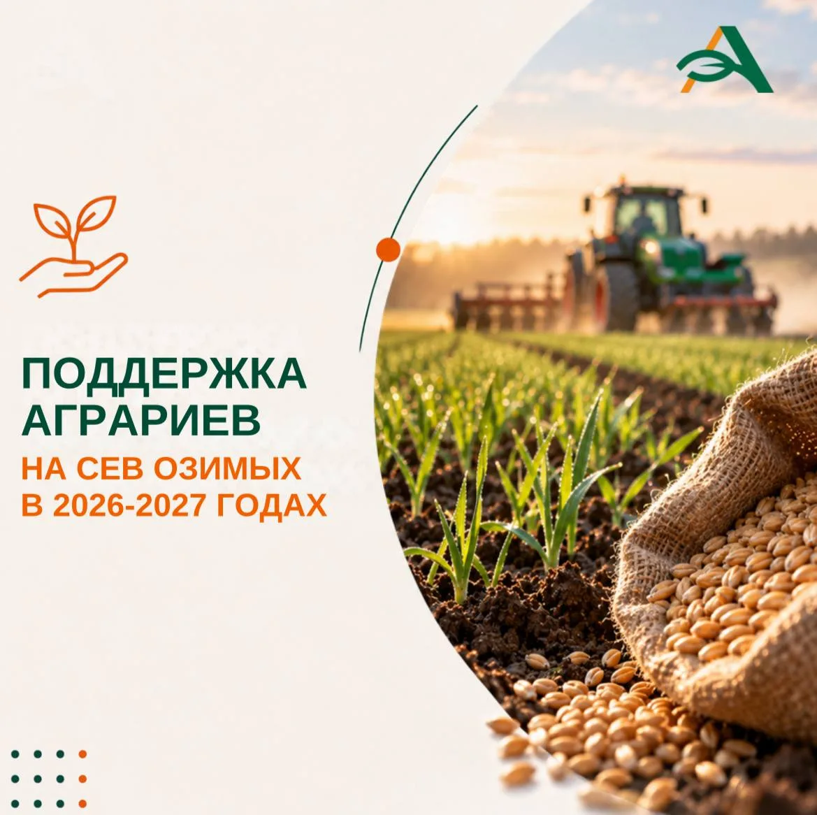 🔴Погектарные субсидии на сев озимых планируются в 2026–2027 годах