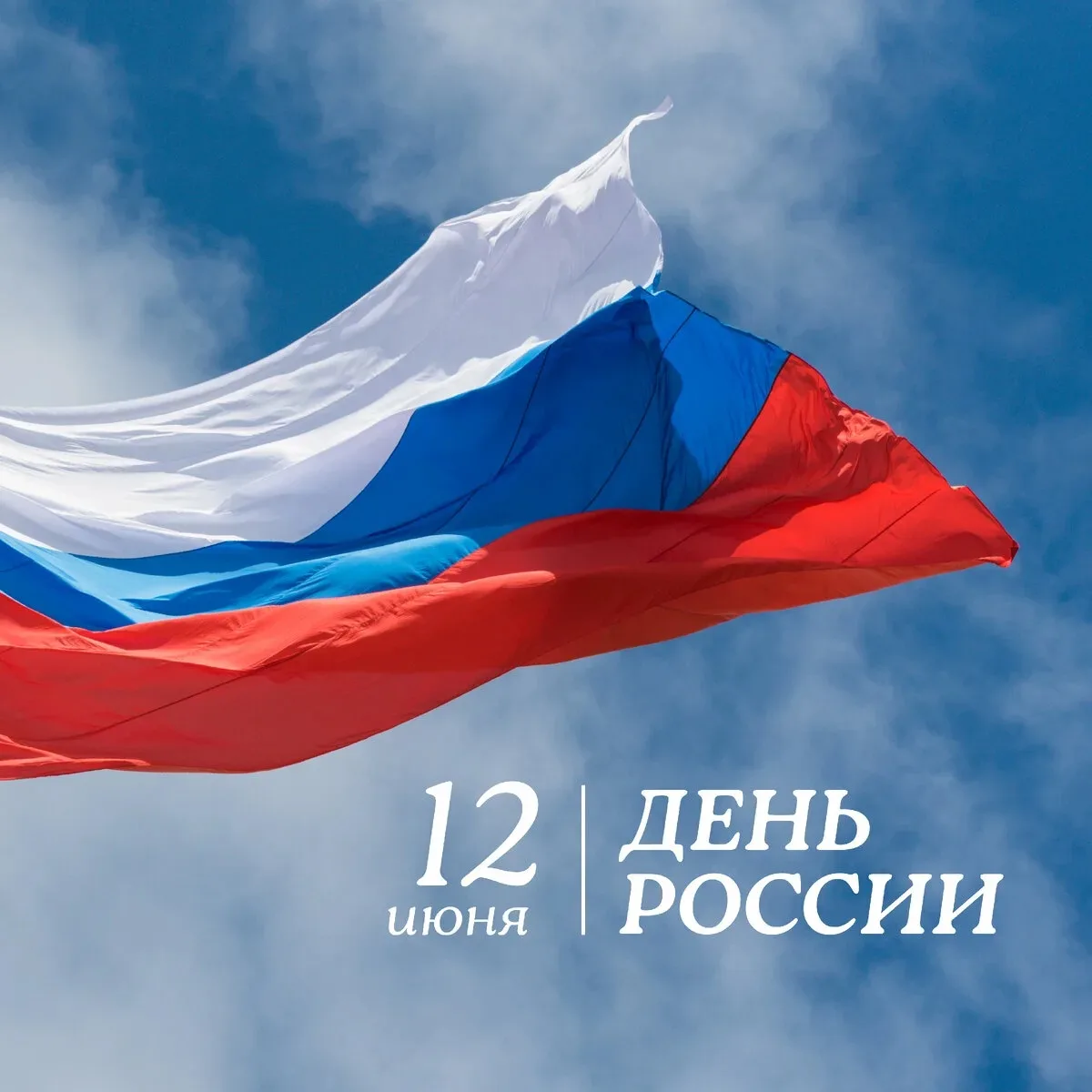 Дорогие друзья!