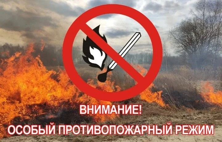 Уважаемые жители и гости Мордовского муниципального округа!