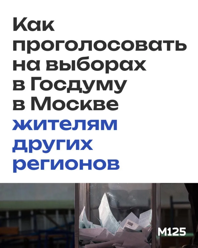Стало известно, как голосовать жителям других регионов на выборах в Госдуму, находясь п...