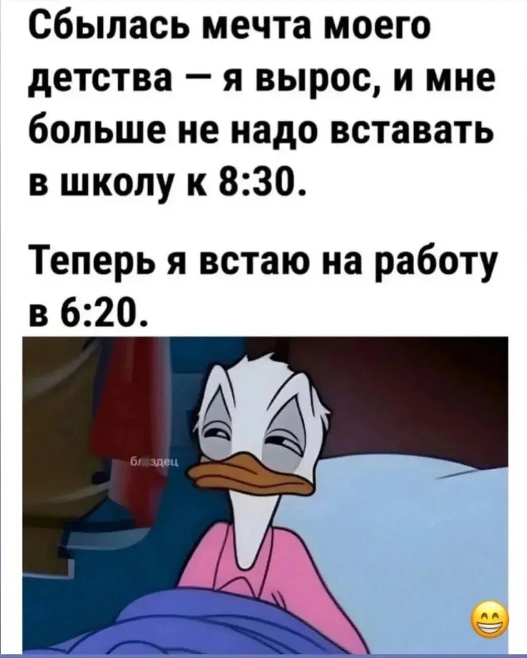 🔹 Аккуратнее со своими желаниями 😄

ЮМОР 360° в MAX   |  TG