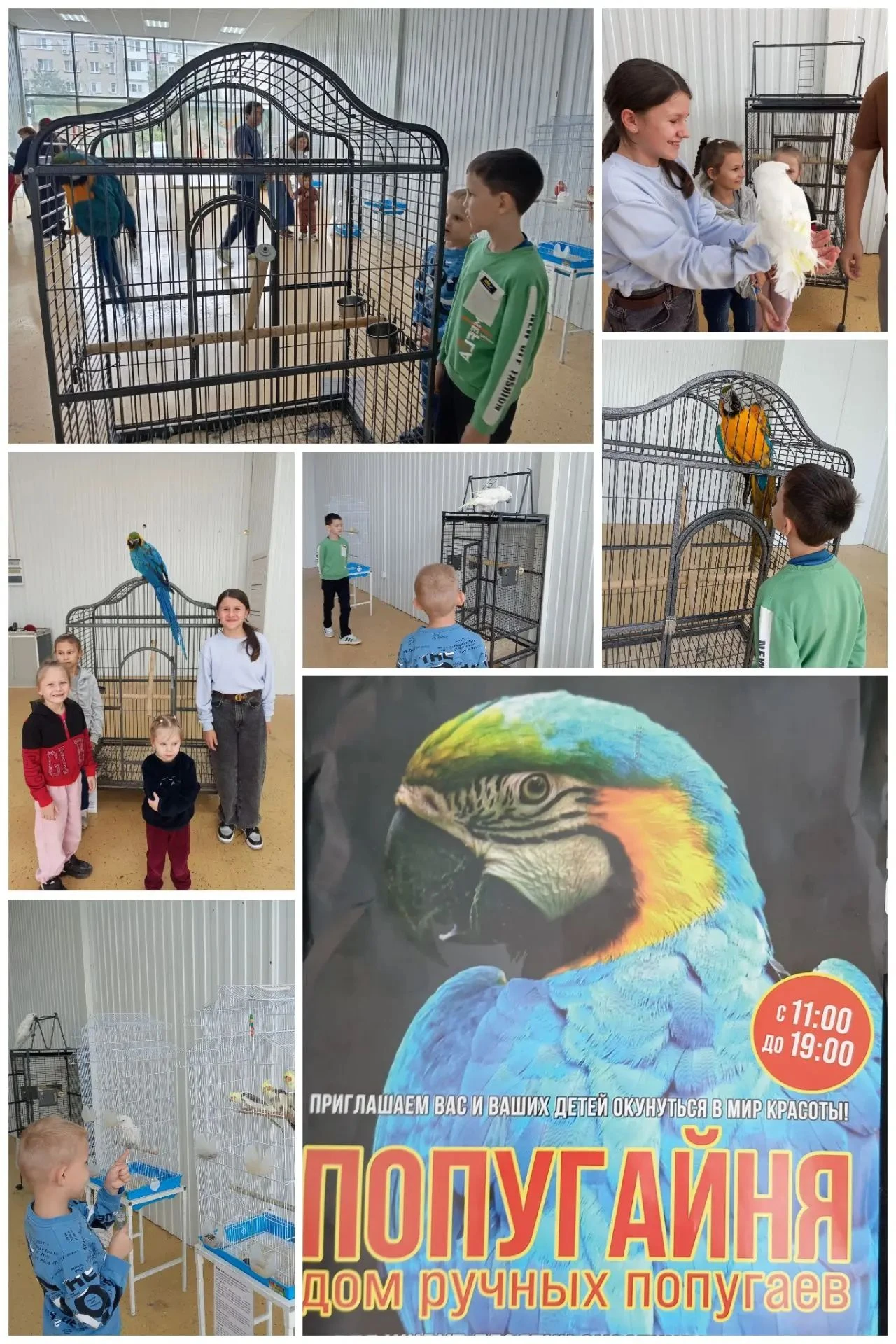 🦜 Пернатые терапевты: