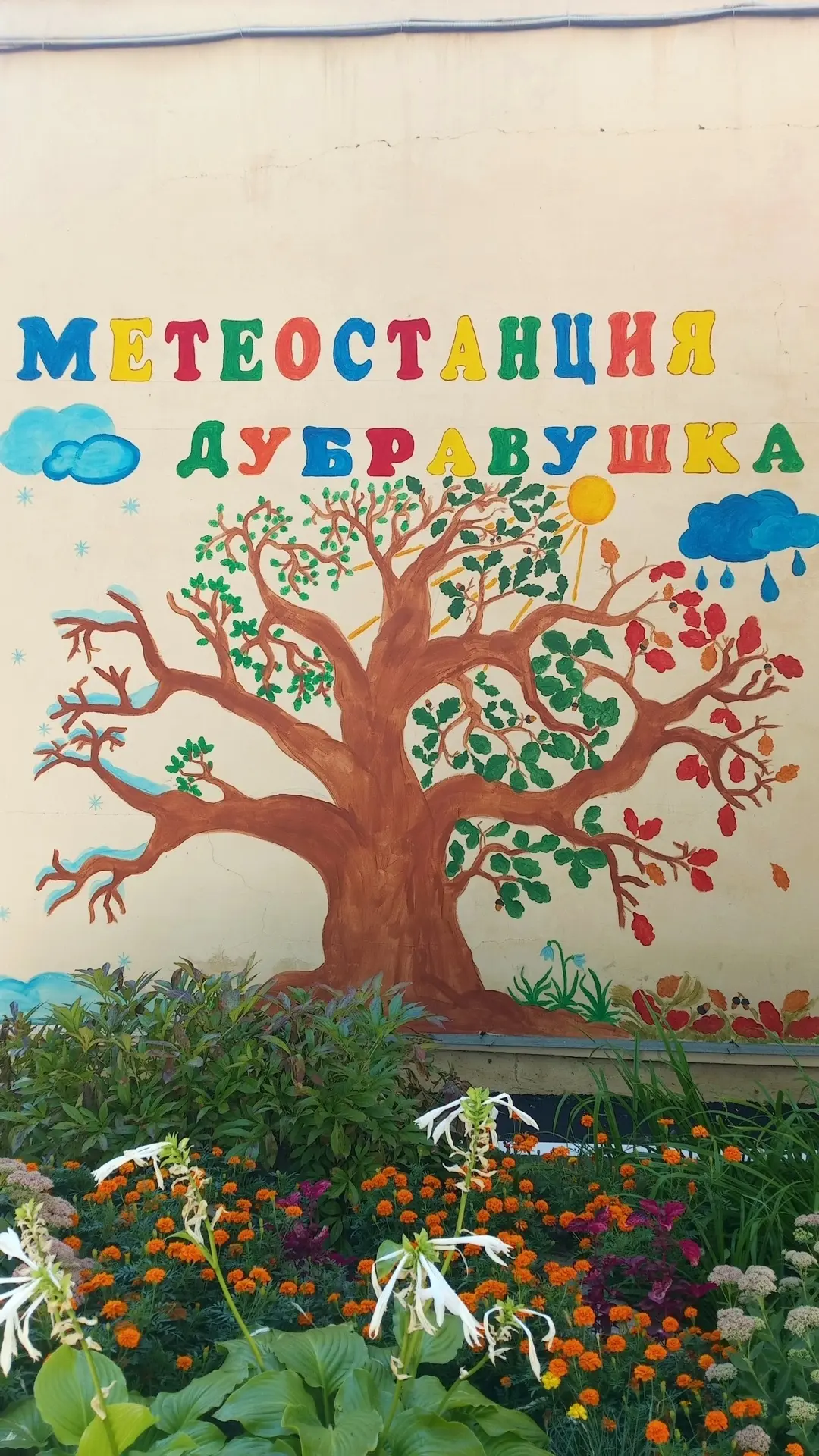 🌦️ Внимание, важное событие! 🌦️