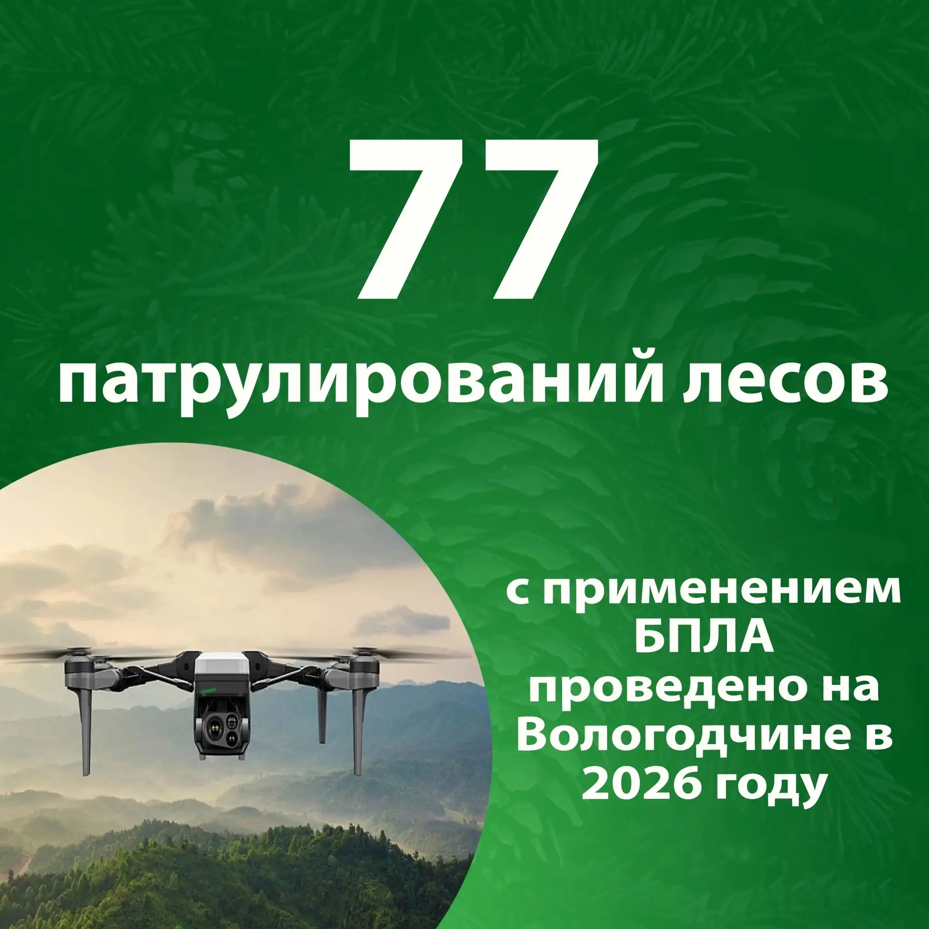 77 патрулирований лесов с применением беспилотных летательных аппаратов проведено на Во...