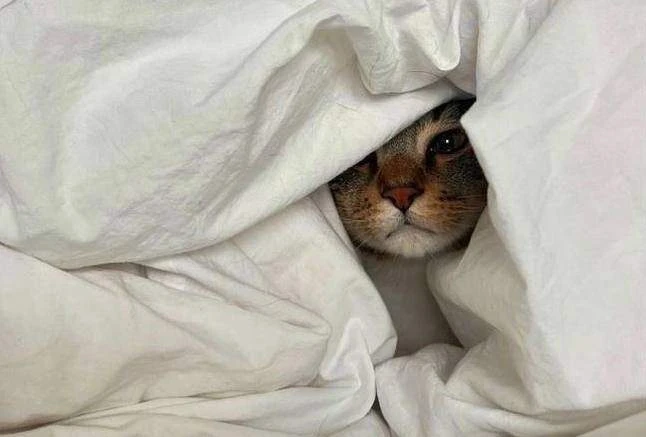 🥶 Почему немеет тело? ~ ощущение потери чувствительности, мурашек, покалывания или слабости. Оно воз