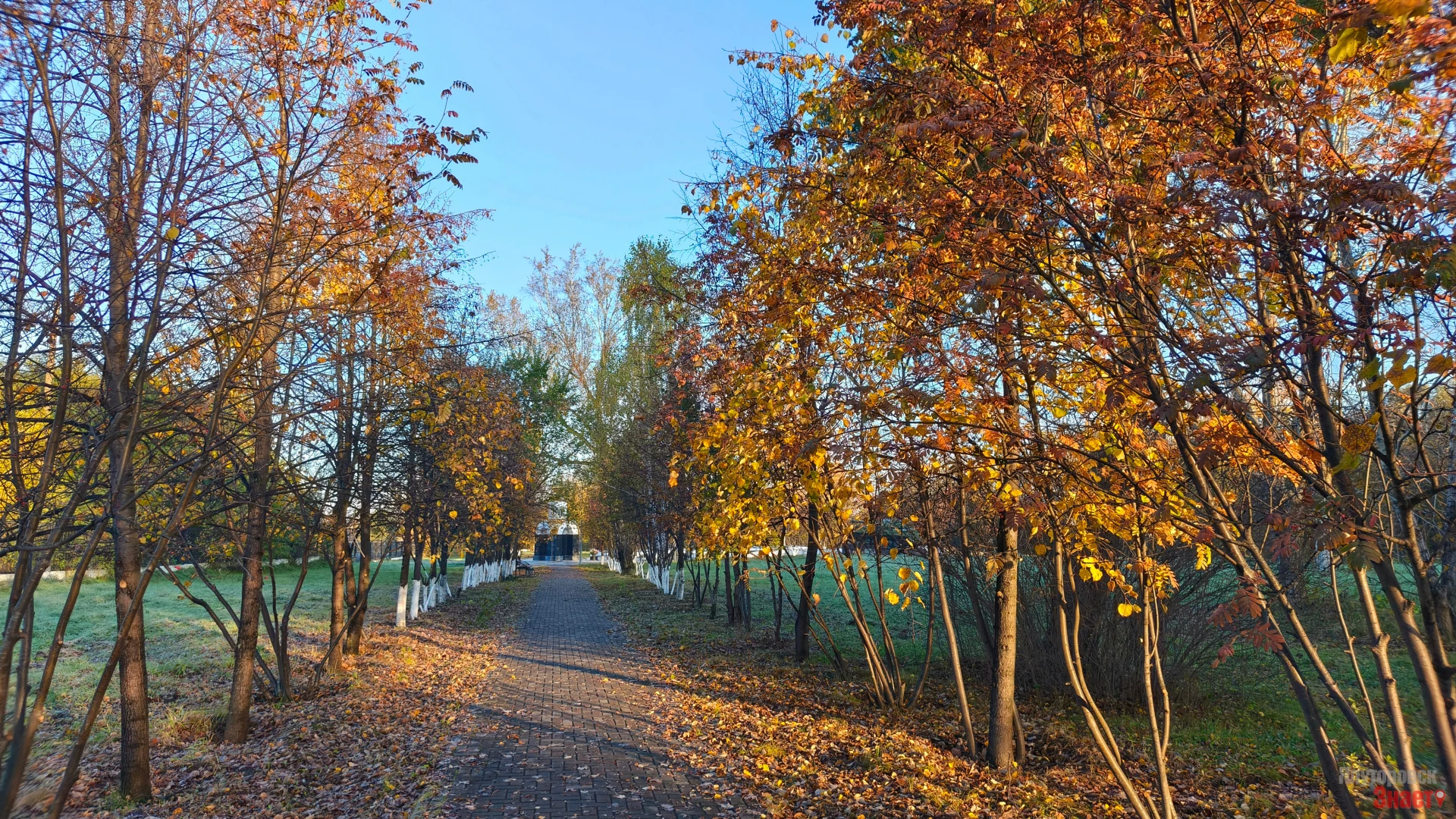 С добрым солнечным осенним утром ☀🍁