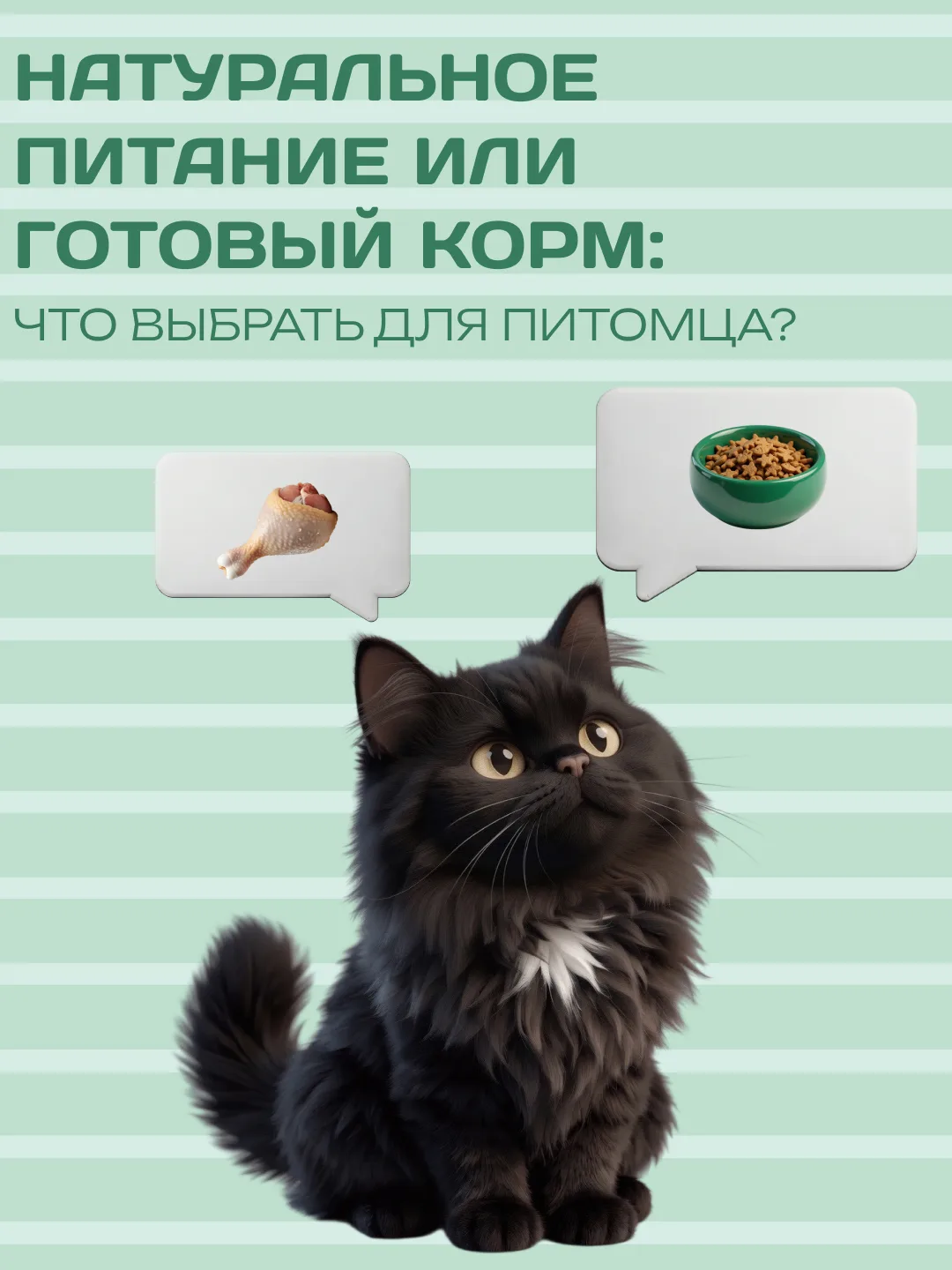 Натуральное питание или готовый корм — что лучше для питомца?
