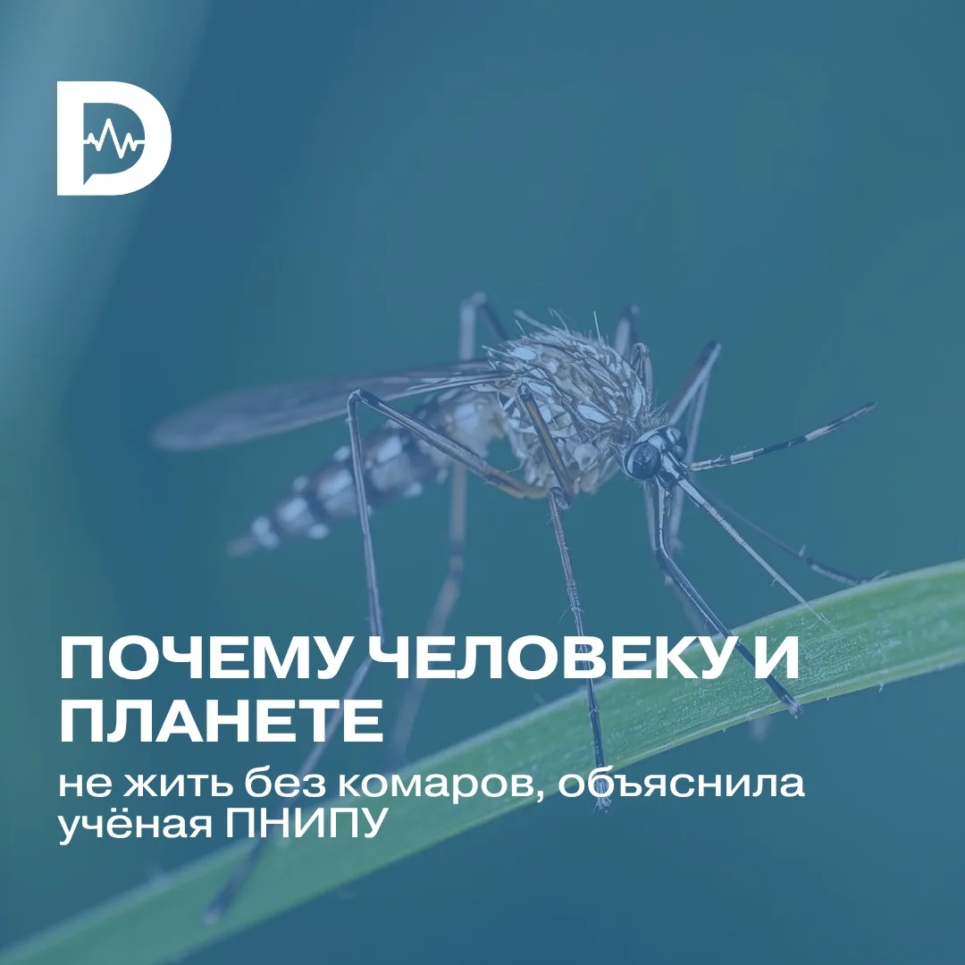 Кажется, комары существуют исключительно для того, чтобы портить нам жизнь. Но без них ...