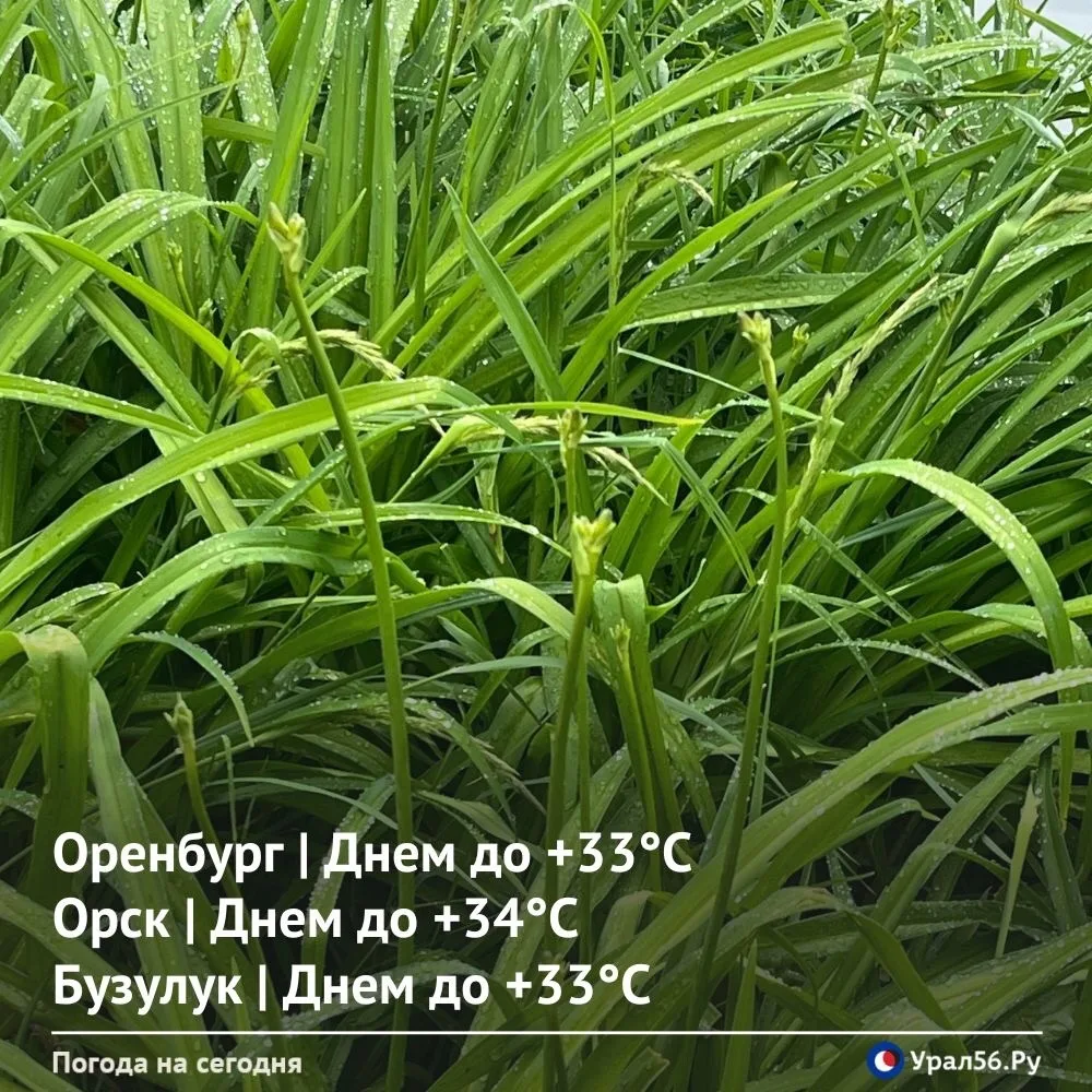 Доброе утро ☀️