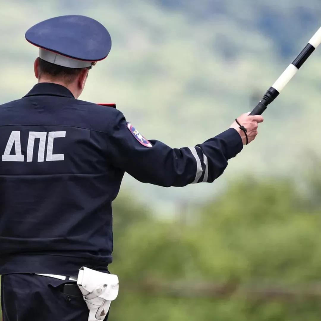 🇷🇺 Откупиться от ДПС двумя баранами житель Ставрополья. Инспекторы остановили мужчину...