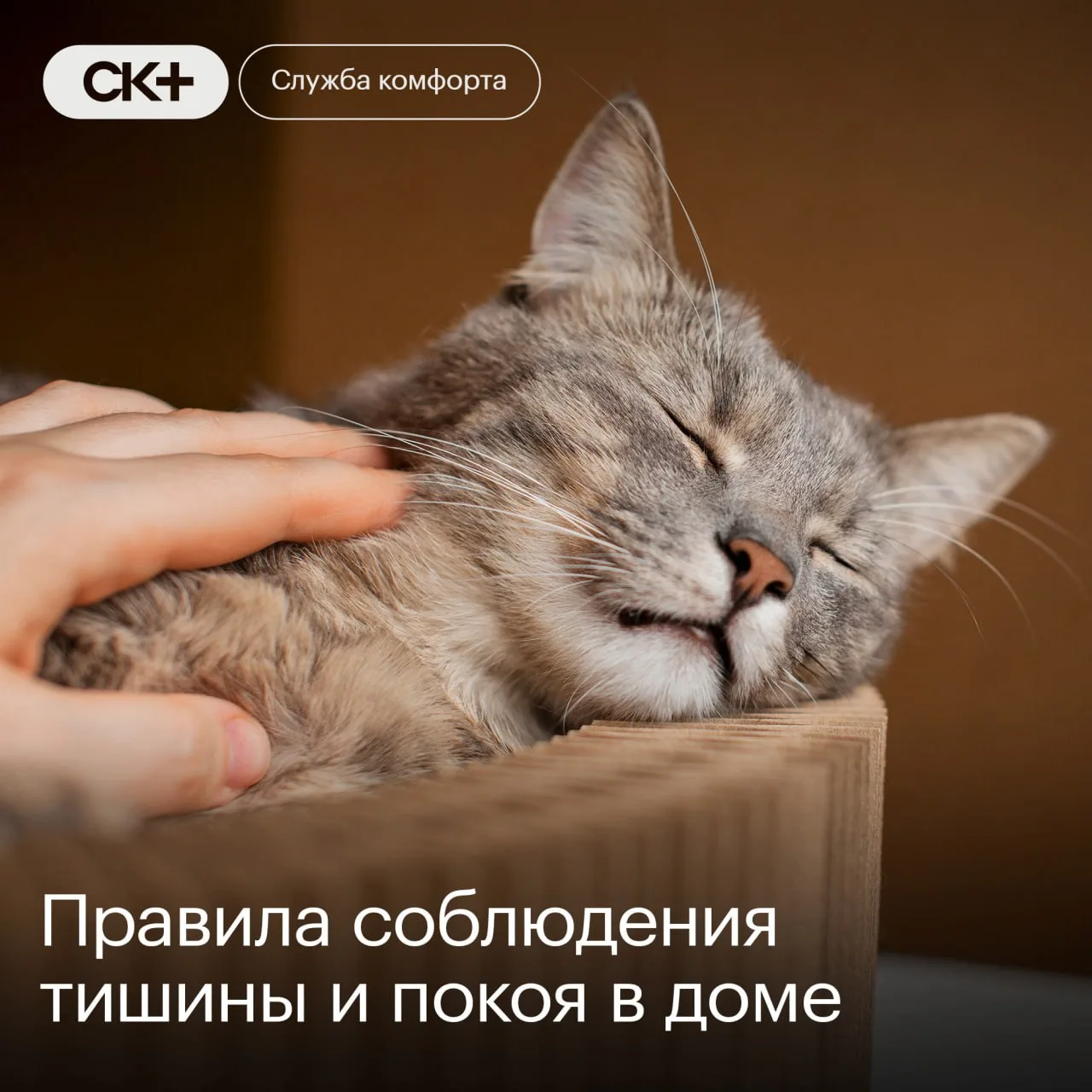 Напоминаем о важности соблюдения режима тишины и покоя при проведении ремонтных работ😴