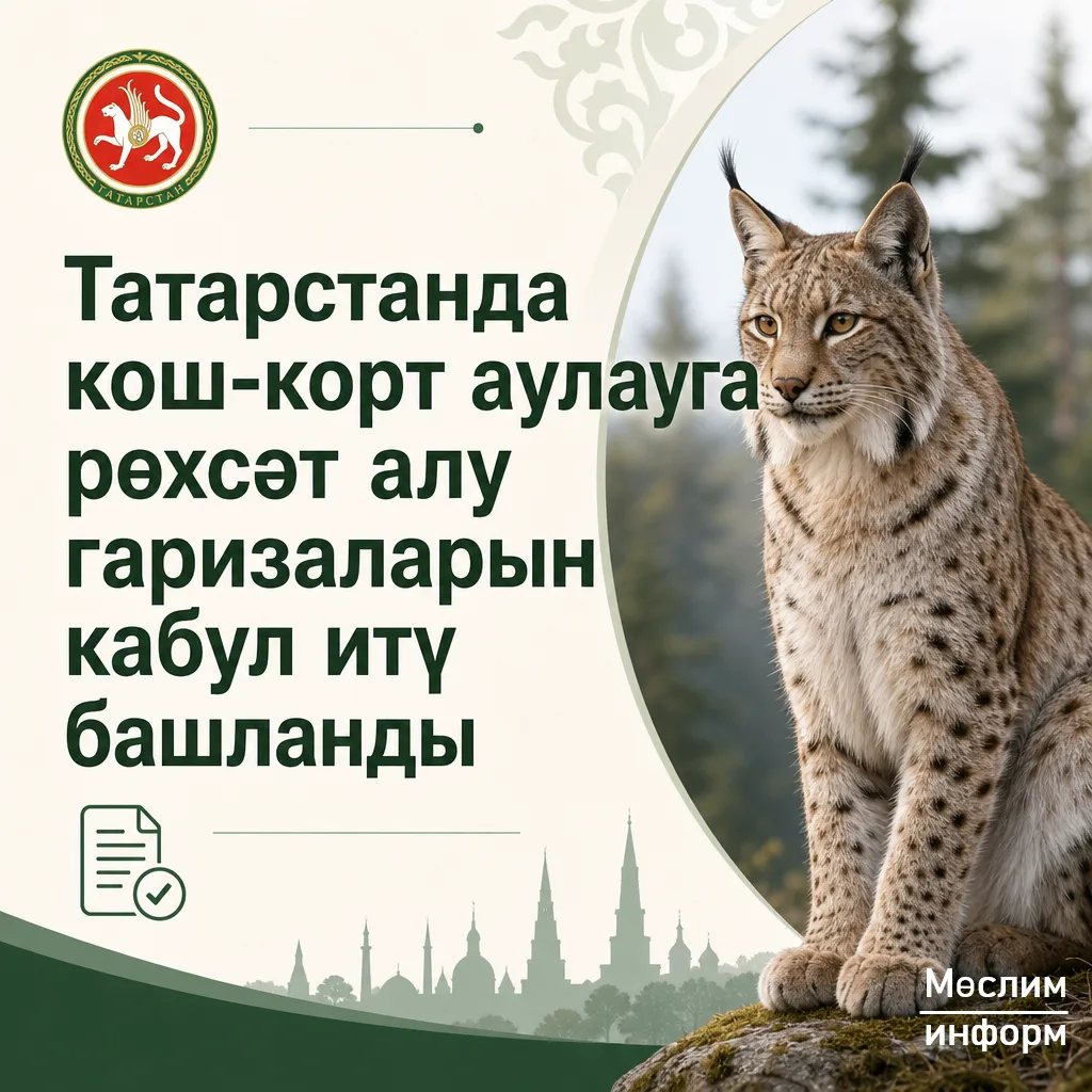 Кош-корт аулауга рөхсәт алу өчен гаризалар кабул итә башладылар. Гариза бирү тәртибе белән карточкал