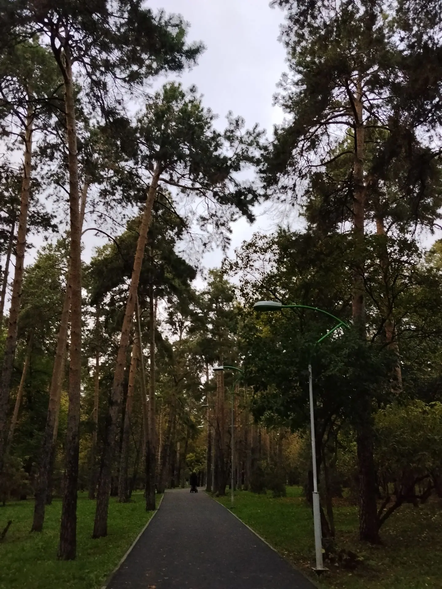 Вчера снова выбрались на прогулку — в этот раз в Зелёную рощу 🍂