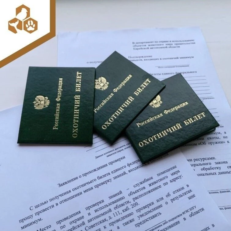 ✅С 1 января 2025 года охотничий билет единого федерального образца выдается в форме электронного док