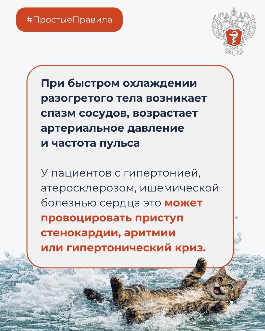 Изображение 4 к публикации «ЗдравКонтроль»