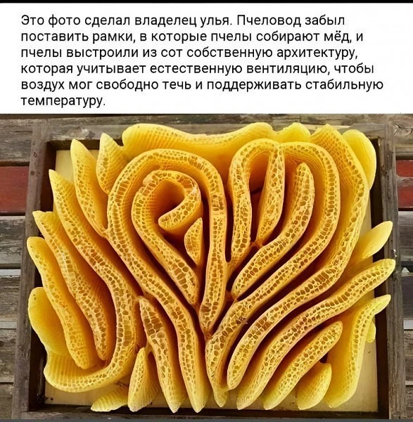 Оцените лайком 🥰
