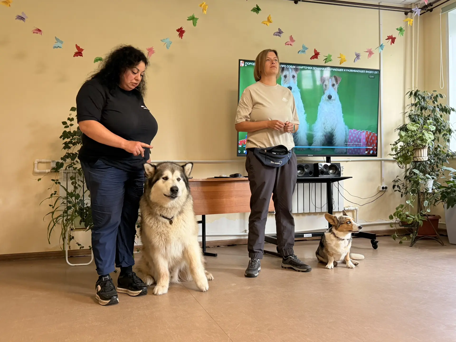 Сегодня в «Ромашке» случился настоящий праздник хвостов и лап! 🐾 К нам в гости заглянули дрессировщ