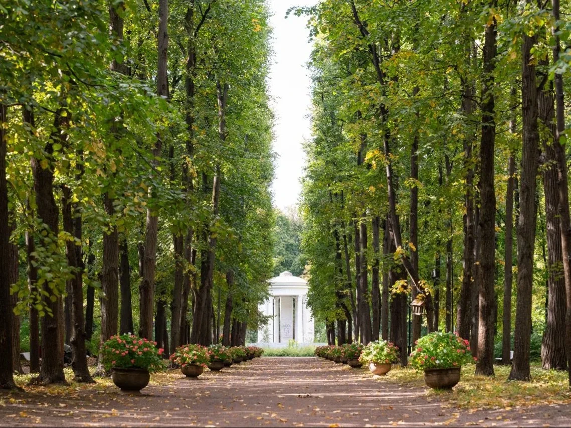 🌳 Идеальная симметрия Нескучного сада