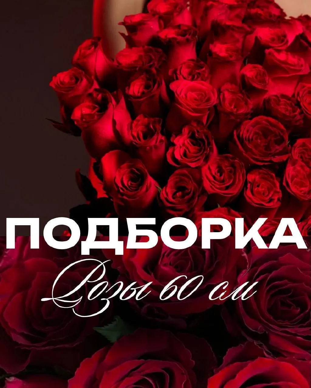 ✨РОЗЫ 60 СМ✨