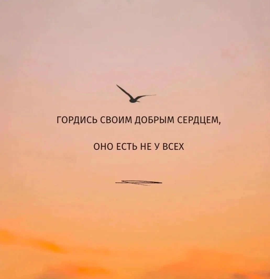 #высказывания