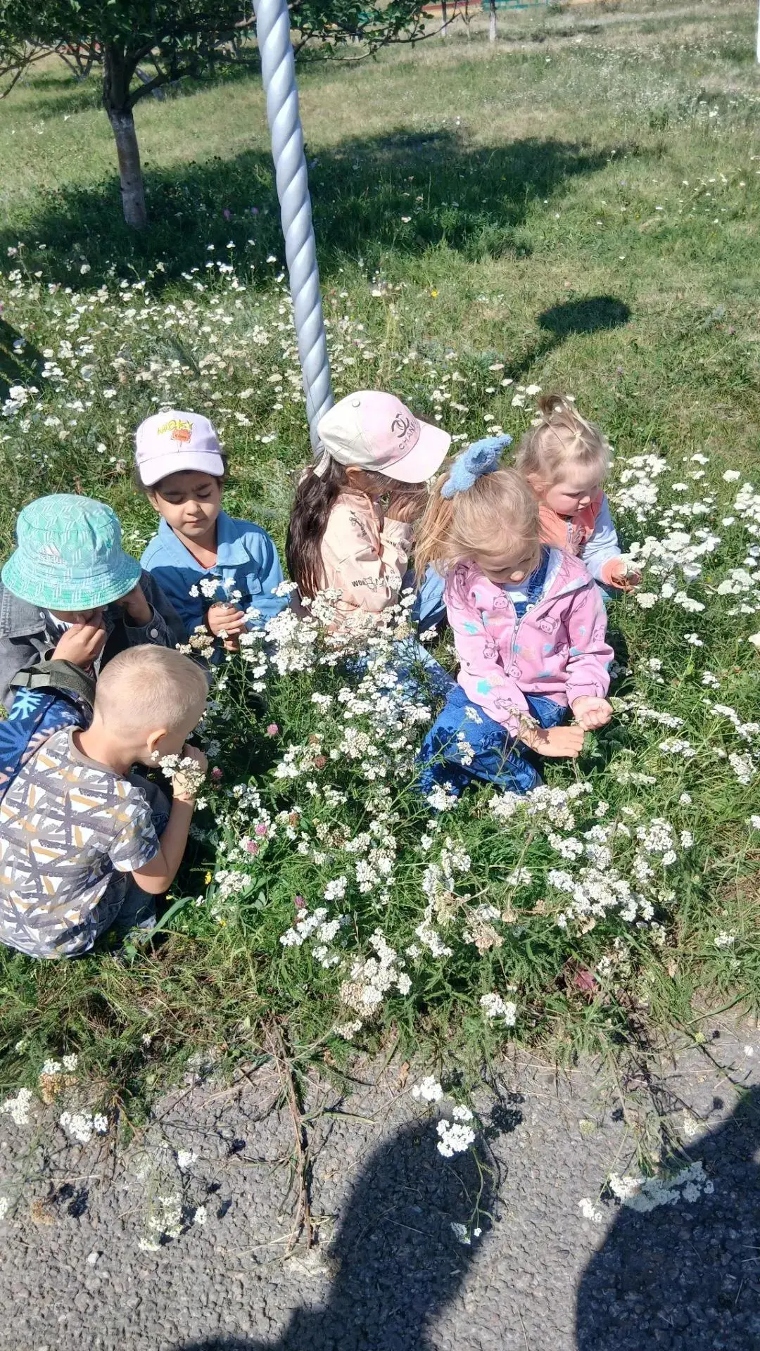 Сегодня в дошкольной группе проведена необычная экскурсия