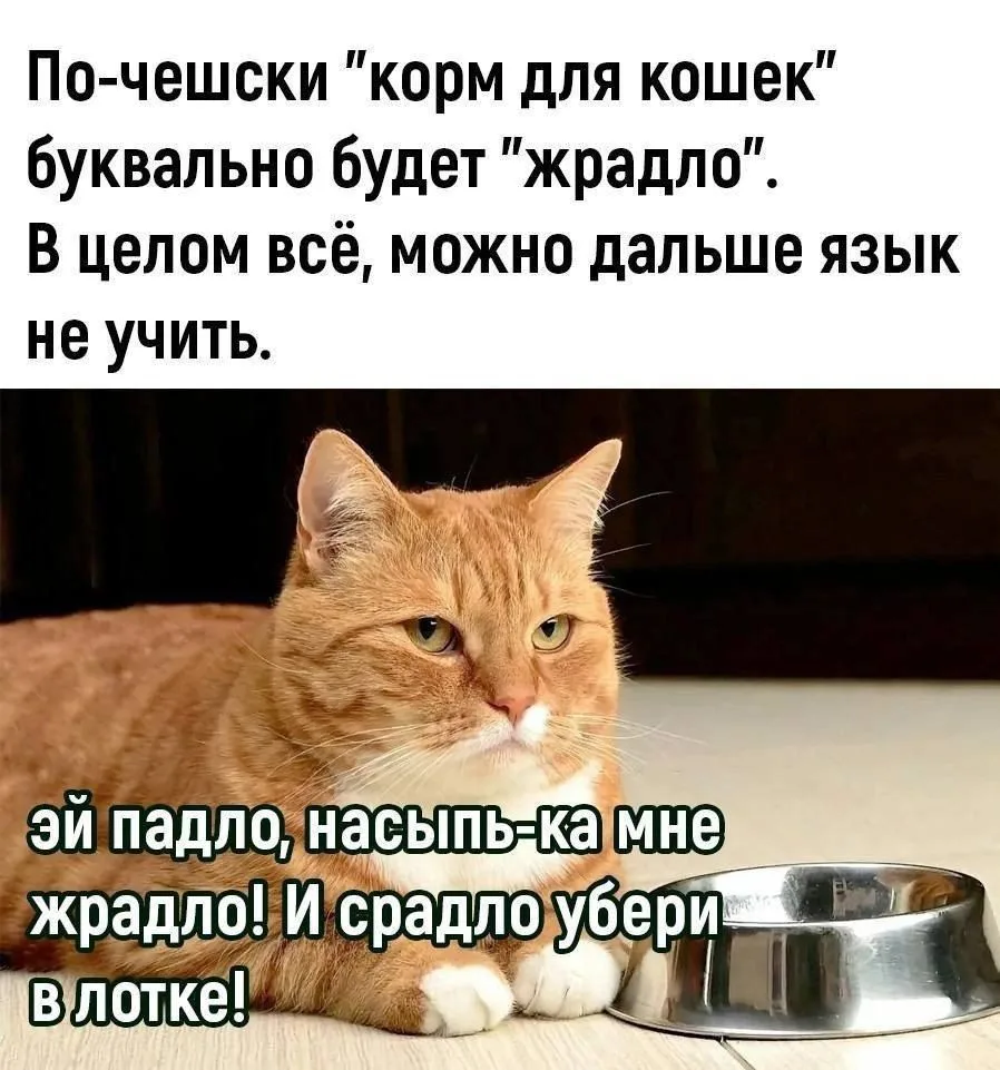 Изображение 2 к публикации «Русская Культура»