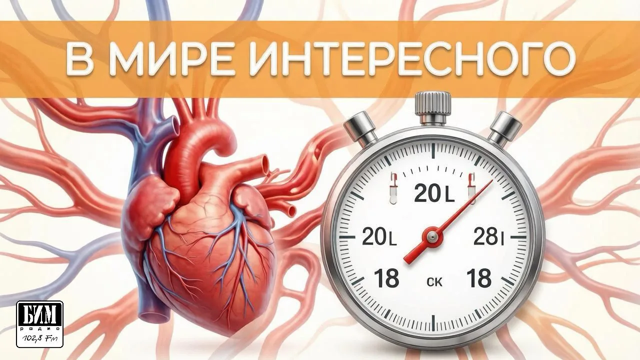 В МИРЕ ИНТЕРЕСНОГО ❤️