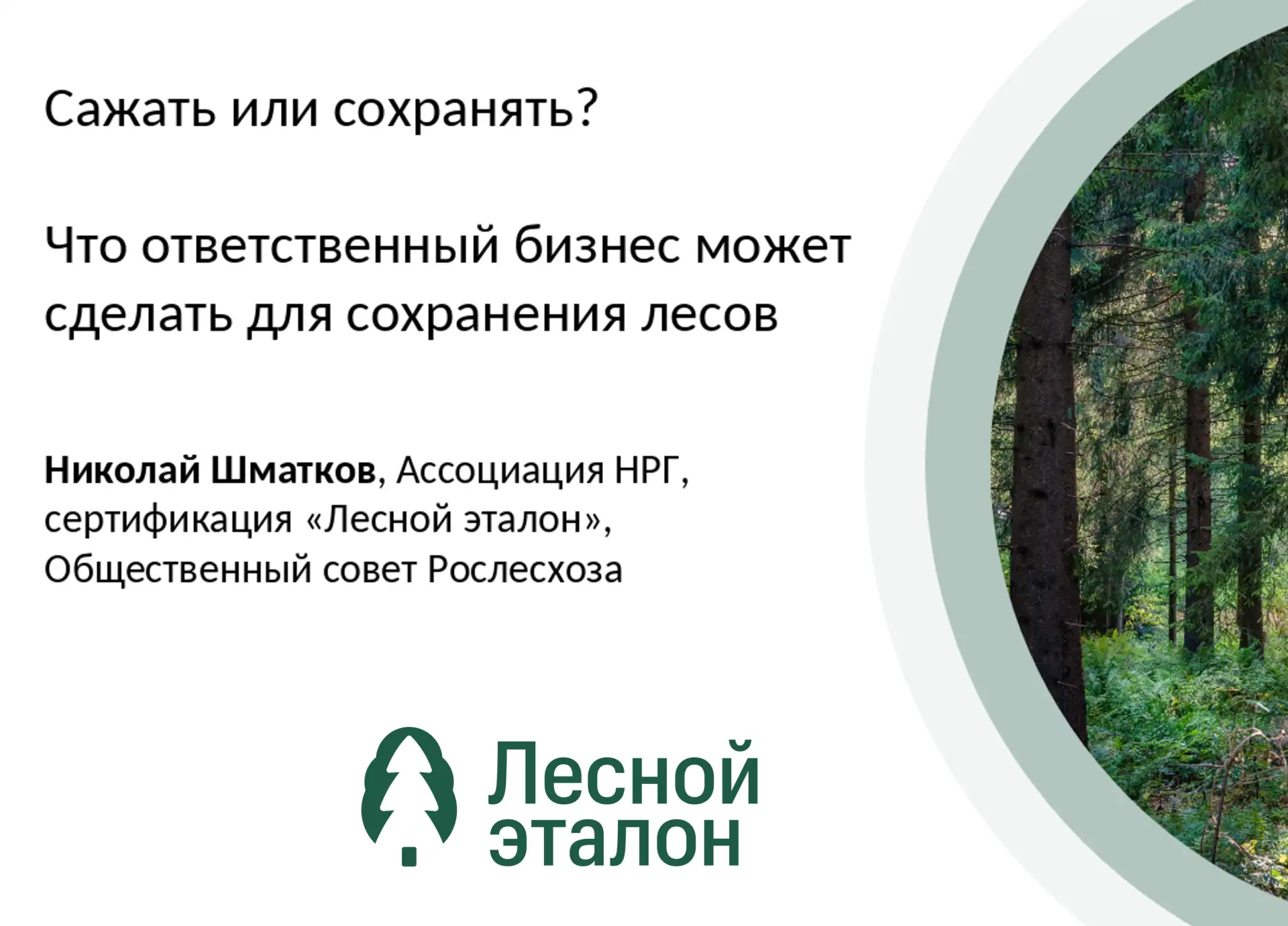 «Лесной эталон» — инструмент для ритейла по сохранению экосистем и биоразнообразия.