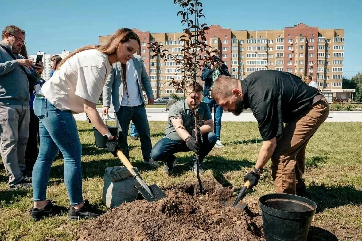 Изображение 2 к публикации «Курский Пост»
