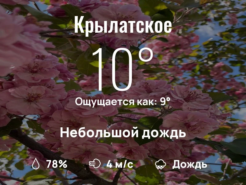 Что с погодой в Крылатском?